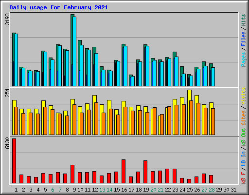 Daily usage for February 2021