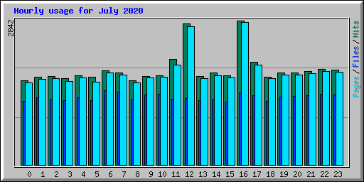 Hourly usage for July 2020