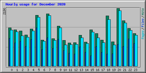 Hourly usage for December 2020
