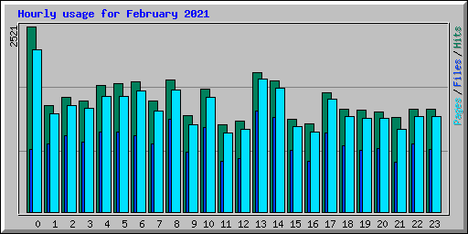 Hourly usage for February 2021