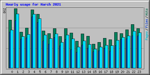 Hourly usage for March 2021