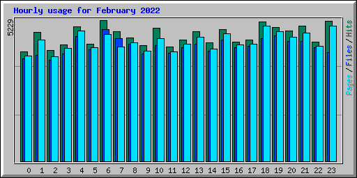 Hourly usage for February 2022